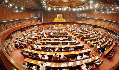 Parliamentary horse