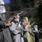 Amnesty announcements for terrorists