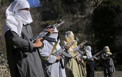 Amnesty announcements for terrorists