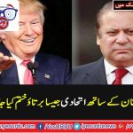 ALLIE, STATUS, SHOULD, BE, ENDED, WITH, PAKISTAN, AMERICAN, SENATOR