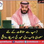 VISE, KING, NAIB, WALI, EHAD, OF, SAUDI ARABIA, GONE, TO, AMERICA, FOR, MEETING, TRUMP