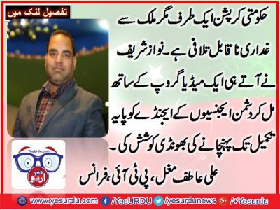 ALI, ATIF, MUGHAL, PTI, MOST, ACTIVE, LEADER, IN, FRANCE, SAID,  NAWAZ SHARIEF, DID, WORST, TO, DAMAGE, CREDIBILITY, OF, ISI, AND AT, BEING UNSUCCESSFUL, STARTED, PROPAGATE, DEVELOPMENT, AGENDA