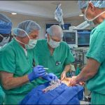 Chicago: Successful surgery of four-legged girl's