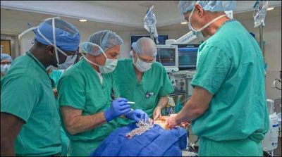 Chicago: Successful surgery of four-legged girl's