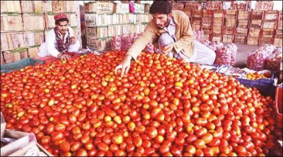 Karachi: Price cuts to tomato Rs 20 per kg