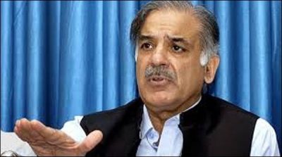 PML-N will wipe out all parties in the elections, Shehbaz Shareef