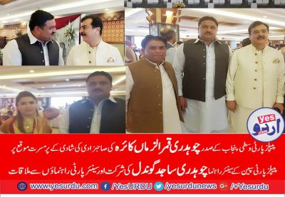 CH, SAJID MEHMOOD, GONDAL, senior, leader, ppp, SPAIN, participated, in, marriage, party, of. senior, leader, and president, ppp, central, punjab, qamar uz zaman, kaira