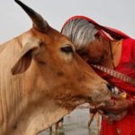 "Woman" should Protection not to cow