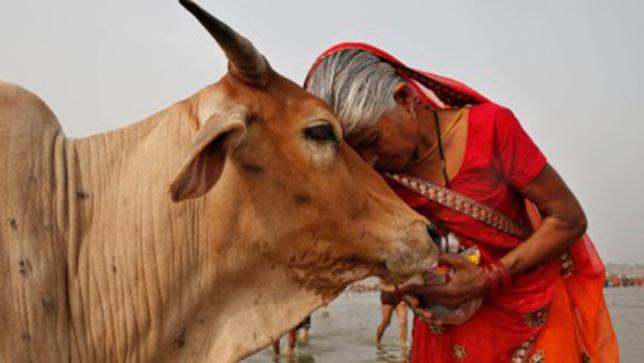 "Woman" should Protection not to cow