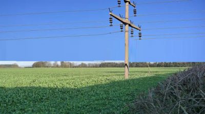 Punjab: bio-energy company established for cheap electricity to farmers