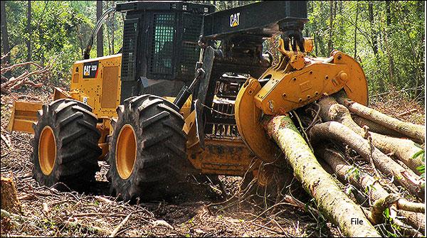 Forest department officials involved in harvesting