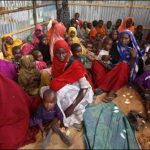 Cholera epidemic in Somalia, killed 533, affected 21 thousand