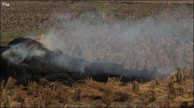 Shuja abad: wheat crop was burned on 4-acre area
