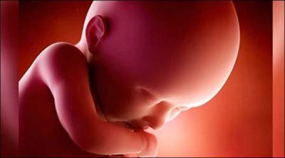 Jharkhand recovered the bodies of 14 children from the sack