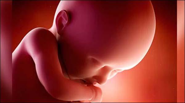 جھاڑ کھنڈ میں بوری سے 14 بچوں کی لاشیں برآمد