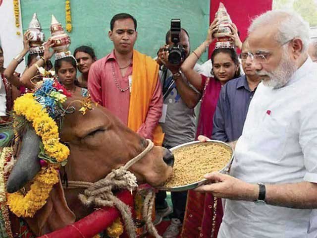 ’گئوماتا کے محافظ، فسادیوں سے زیادہ خطرناک ہیں،‘ بھارتی صحافی