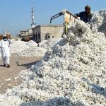 Low trade volume in the cotton market, spot rates increased to Rs.100