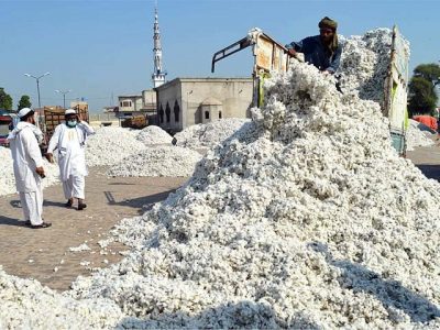 Low trade volume in the cotton market, spot rates increased to Rs.100
