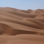 The desert may also Decisions