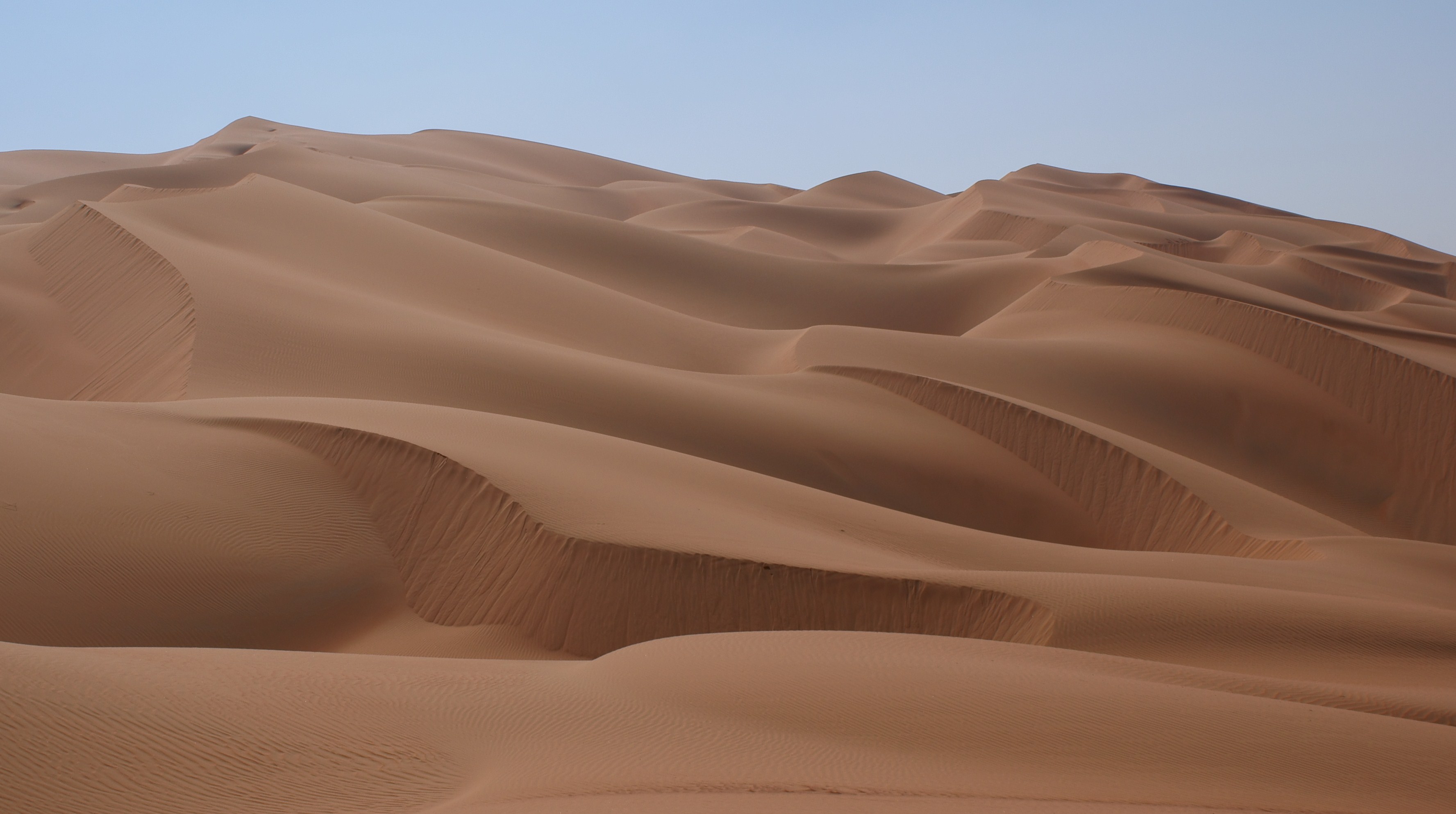 The desert may also Decisions