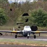 The runway was arrogant after pay off plane