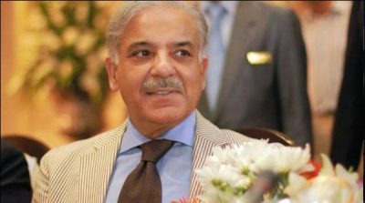 Punjab has emerged as the best province for investment, Shahbaz Sharif