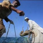Ban on hunting of marine life for two months in Sindh