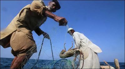 Ban on hunting of marine life for two months in Sindh
