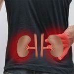 pains, and, symptoms, of, kidney, problems, one, should, contact, to, the, doctor, immedietly