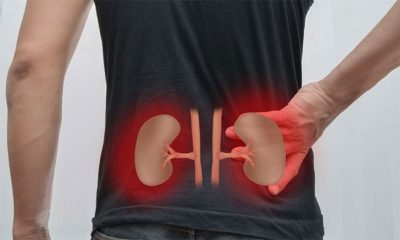 pains, and, symptoms, of, kidney, problems, one, should, contact, to, the, doctor, immedietly