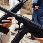 Sindh, ban ,on, the, sale, of ,toy, guns ,for, 2 ,months