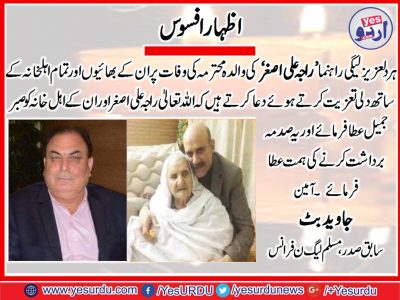 Sad , news, of, Death, of, Raja ali asghar, senior , leader, PMLN, France, and, candidate, for, MPA, PP3 , Gujar Khan