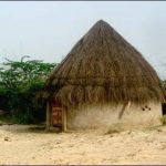 The thunder blood was poured out on the thar