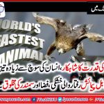TOP, 5 ,FASTEST ,ANIMALS, ON, EARTH , AMAZING , INFORMATION
