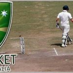 More than 200 cricketers in Australia have become unemployed