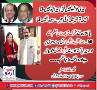 Malika Sultana, President, PMLN, Women Wing, France