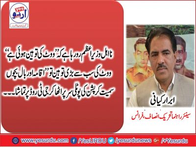 Ibrar Kayani, Senior, Leader, PTI, France