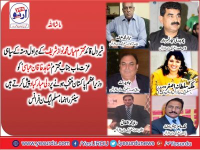 ُPMLN, france, senior, leaders, congratulate, shahid, khaqan abbasi