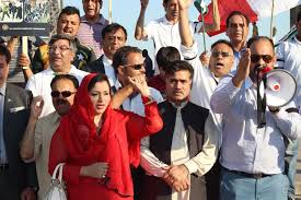 black day, will, be, celebrated,on, eiffel tower, by , kashmiri, and, Pakistani, brotherhood