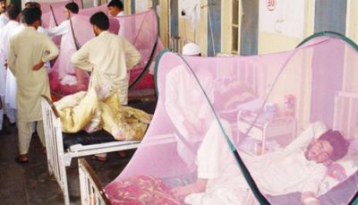 The number of dengue patients in Peshawar exceeded to thousand