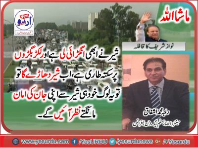 Raja Muhammad Ishfaq, Senior, Leader, PMLN, France