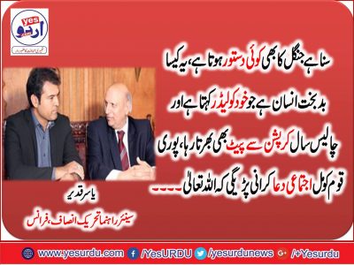 Yasir Qadeer, PTI, France