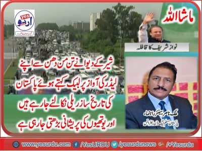 Malik Muhamad Nasir, Senior Leader, PMLN, Francer