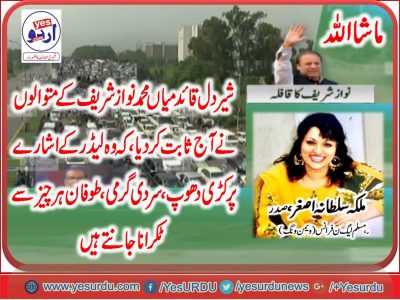 SULTANA ASGHAR, PRESIDENT, WOMEN, WING, PMLN, FRANCE