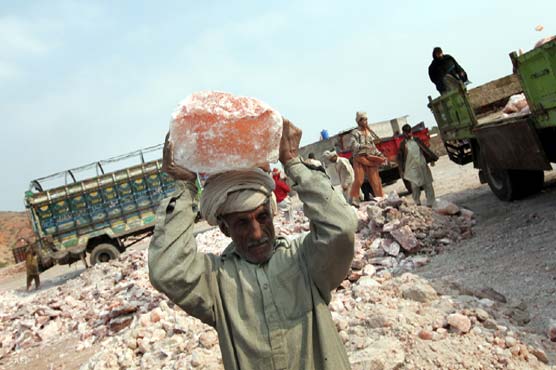 India is exporting Pakistani salt worldwide, federal chamber