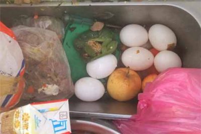 Food authority action, hot and spicy restaurant seal on Mall Road