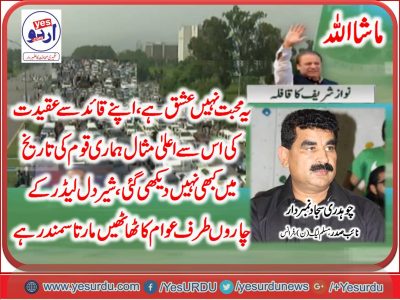 Ch. Sajad, Numberdar, Senior, Leader, PMLN, France