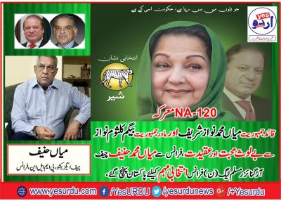 mian Muhammad, Hanif, Chief, Organizer, PMLN, France, will, conduct, the, Election, campaign, of, Begum, Kalsoom Nawaz