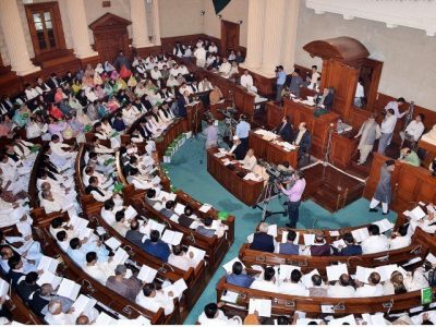 To increase seats for minorities in national and provincial assemblies submit a contract in Punjab Assembly