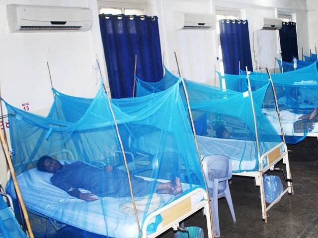 The number of dengue patients in Peshawar has exceeded upto 800